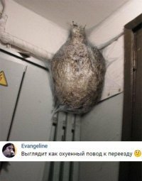 Кроме шуток, это что за хрень?