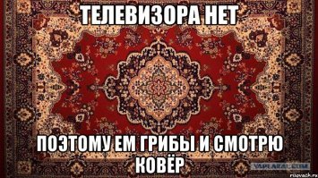 Как растут грибы