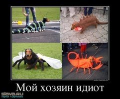 Фотоподборка
