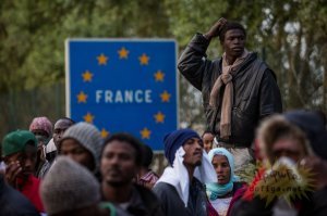 Не, на европейцев не похожи.