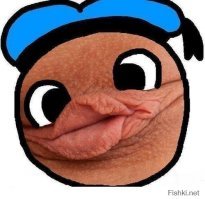 Российской звезде Playboy предложили работу в мэрии