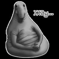 Встречайте: Наталья Ветлицкая возвращается в Россию