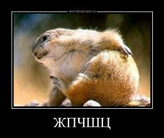 У нас другие ребусы.