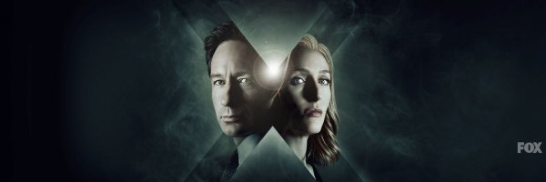 Тaинственные cледы нa котах