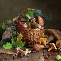 Конечно, талант. И очень часто - дополнительное образование. Чтобы человек понимал, что с чем сочетается и смог увидеть в ерунде сочетаемые цвета и вещи. Здесь даже не поможет и то, что фотограф супер-профессионал. Это выглядит, словно взяли и накидали всего - вы попробуйте. Увидите, что не получится с первого раза. Либо вы - талант :) 

Обожаю фотографии красивых натюрмортов и прекрасно понимаю, что талант не только сделать фото и хорошо его обработать, но и сделать "вкусную" композицию, чтобы цвета и предметы сочетались. Поверьте, это дело не 10 минут.