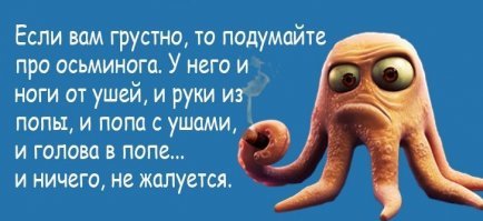 25 любопытных фактов обо всем на свете - забирайте в копилку знаний