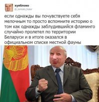 Скрины из социальных сетей