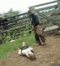 легла по стойке смирно)