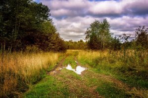 Короче, я вам тут нафоткал за 5 минут на телефон. Правда дождь и темно, что такое горизонт я не знаю и в фокус не могу попасть. Но оцените красоту этих видов 
А я шедевры и не снимаю.