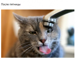 Кто о чём , а вшивый о бане. Что , после пятницы?