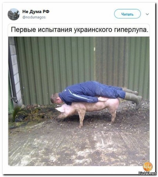 Политические картинки