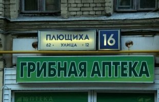 Полечился грибочками - и как сразу приплющило!