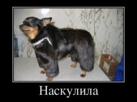 А может нализала.