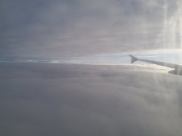 У каждого своя шиза... Знакомый тырит таблички "не беспокоить"  из отелей, подруга жены притащит стакан из отпуска, как она говорит трофей. С семейкой одной дружили, так те вообще клептоманы. Все на чем есть название отеля и может влезть в чемодан тащили безбожно! Но тащить из самолета... Я нарушаю правила... я фотографирую)