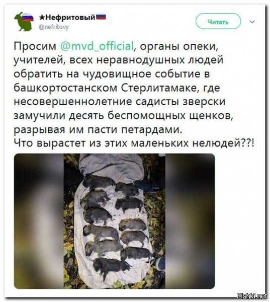ну посмотрите кто на майдане начал все творить и был "кулаком" госпереворота...ну вот и ответ... ждите... если и дальше на опе ровно сидеть будете....