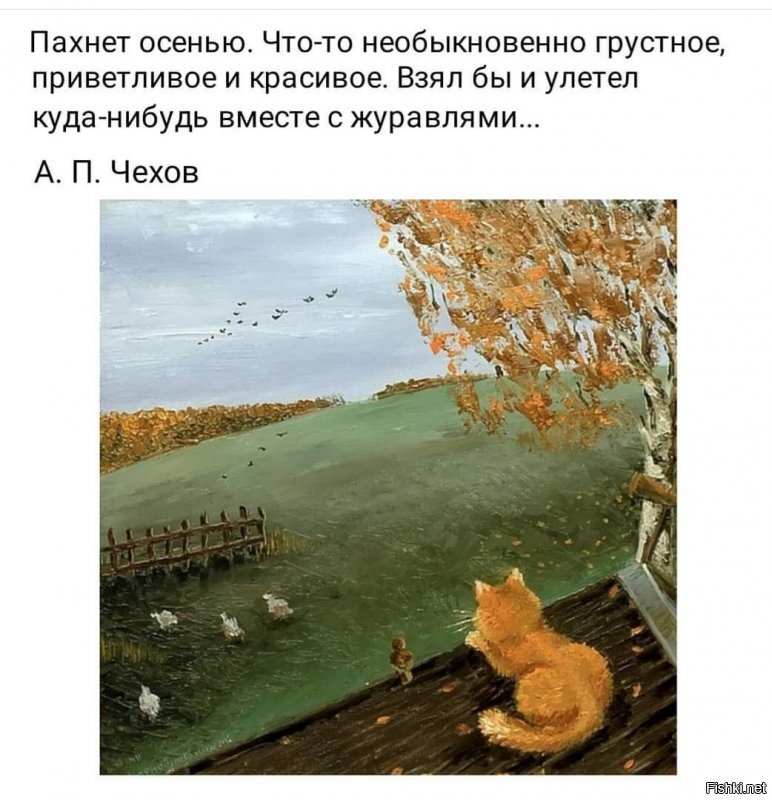 Солянка от 29.09.2019