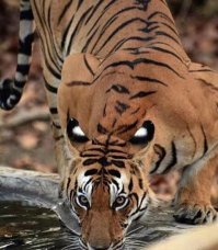 Фотоподборка