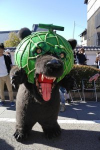 Фотовсячина