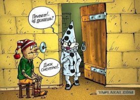 Прикольные картинки