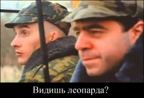 Зоркий фотограф смогла обнаружить хорошо затаившегося леопарда, но удастся ли это сделать вам?