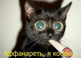 Демонология Богдана Резуненко