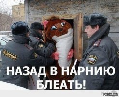 «Наша милиция - нас бережет»: забавные ситуации с представителями правопорядка