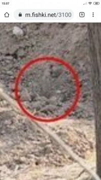 Вот что видно на телефоне,пусть фотограф поищет