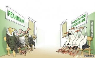 Животная карикатура