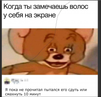 сука! я даже после того как прочёл не могу избавиться от желания протереть монитор...