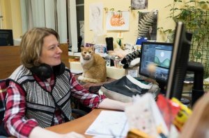 Коте присматривает - годный мультик и правильный коллектив! :)