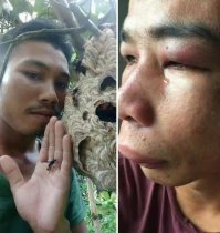 Игры со змеями до добра не доводят