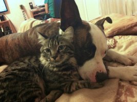 Шесть лет вместе. Это просто любовь.