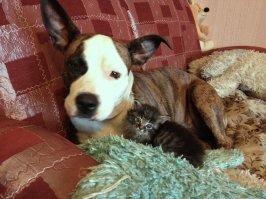 Шесть лет вместе. Это просто любовь.