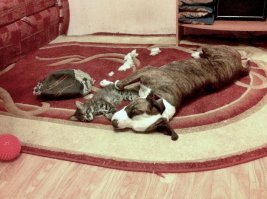 Шесть лет вместе. Это просто любовь.