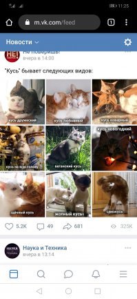 Прикольные и смешные картинки