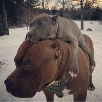 Фотоподборка