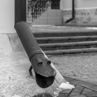 Фотоподборка