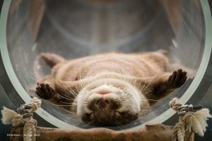 Фотоподборка