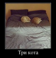 Вот тоже хорошая загадка