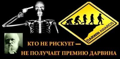 Игры со змеями до добра не доводят