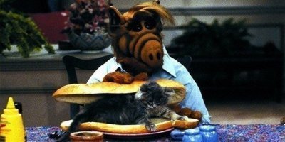 Пес чуть не съел кота в порыве страсти