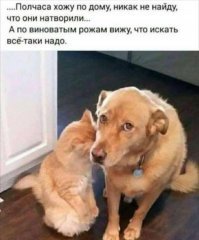 Картинки с надписями