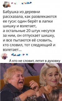 как гусь лапками шишку берет, можно фото?