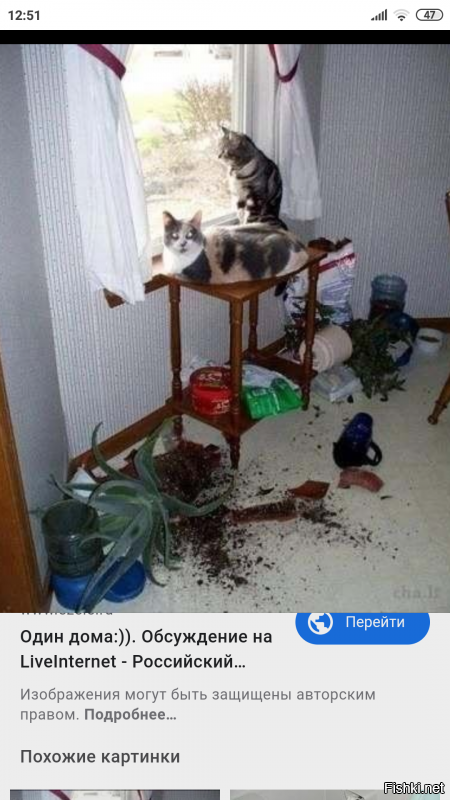 Ну да,ну дааа