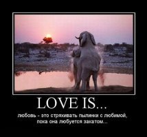 Любовь это... Тот случай, когда романтика идет к чёрту