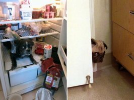 Фотка как и ситуация - ОГОНЬ :)