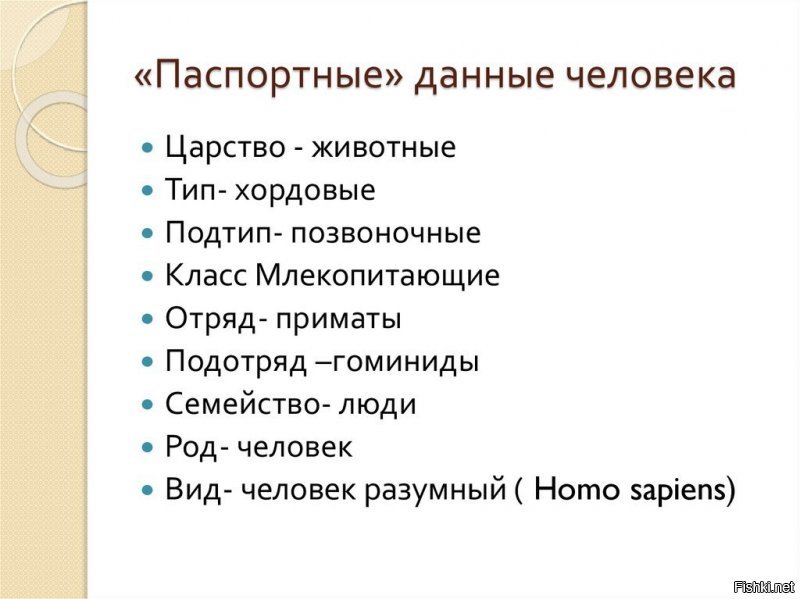 Не токмо наши предки обезьяны , мы люди и есть обезьяны с биологической точки зрения .