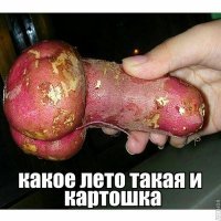 Как борьба с глобальным потеплением превращается в религию