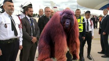 Французские силовики не отпустили Путина в Россию без фото на память