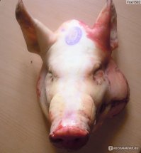 как я вижу татуированных баб